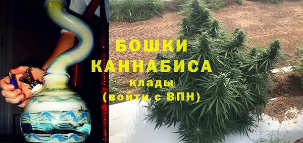 спиды Богородск