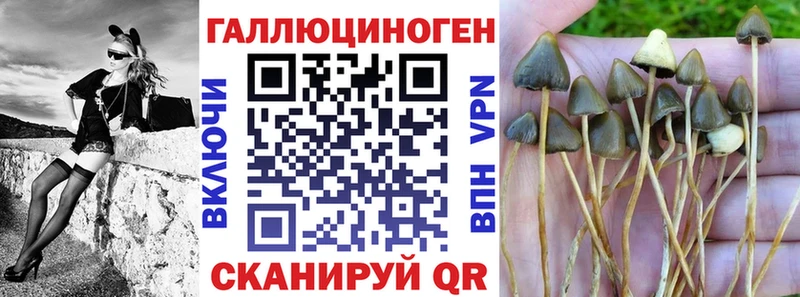 Псилоцибиновые грибы мицелий  Карабаш 